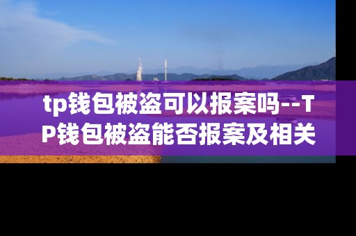 tp钱包被盗可以报案吗--TP钱包被盗能否报案及相关要点