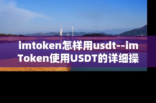 imtoken怎样用usdt--imToken使用USDT的详细操作指南