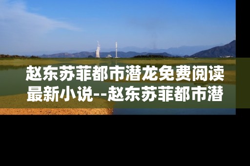 赵东苏菲都市潜龙免费阅读最新小说--赵东苏菲都市潜龙最新小说免费阅读全解析