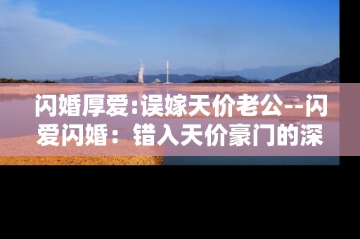 闪婚厚爱:误嫁天价老公--闪爱闪婚：错入天价豪门的深情之旅