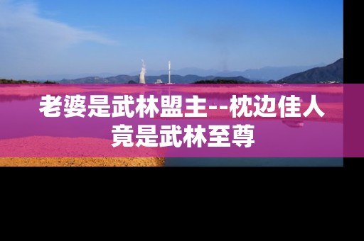 老婆是武林盟主--枕边佳人竟是武林至尊