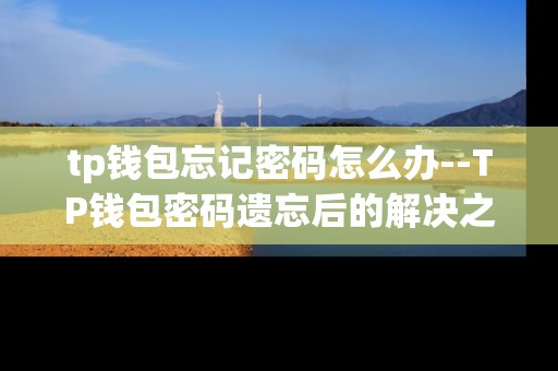 tp钱包忘记密码怎么办--TP钱包密码遗忘后的解决之道