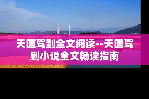 天医驾到全文阅读--天医驾到小说全文畅读指南