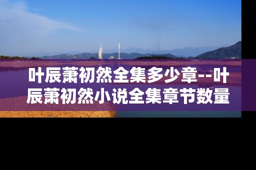 叶辰萧初然全集多少章--叶辰萧初然小说全集章节数量探秘