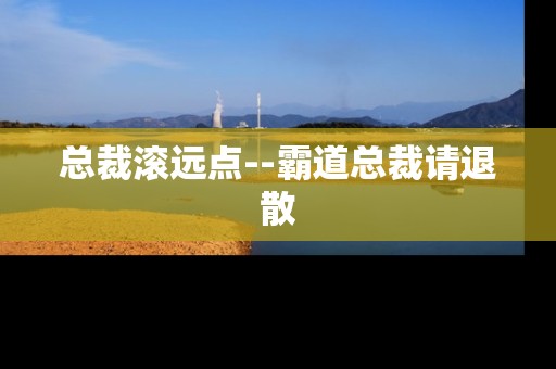 总裁滚远点--霸道总裁请退散