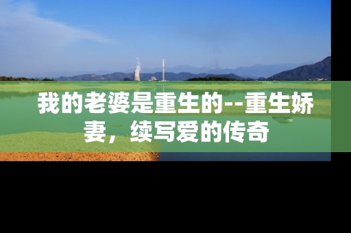 我的老婆是重生的--重生娇妻，续写爱的传奇
