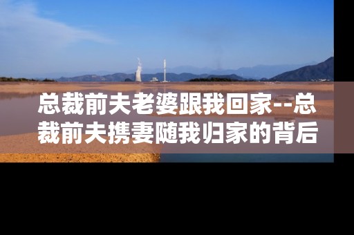 总裁前夫老婆跟我回家--总裁前夫携妻随我归家的背后故事