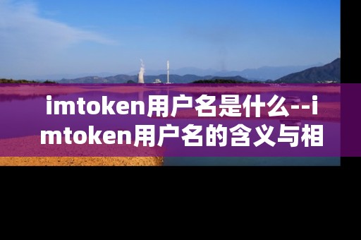 imtoken用户名是什么--imtoken用户名的含义与相关要点