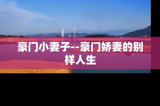 豪门小妻子--豪门娇妻的别样人生