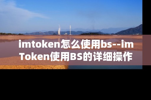 imtoken怎么使用bs--imToken使用BS的详细操作指南