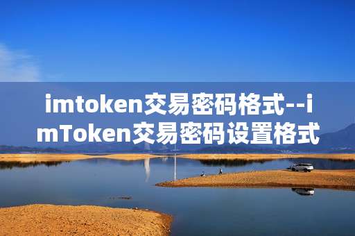 imtoken交易密码格式--imToken交易密码设置格式全知道