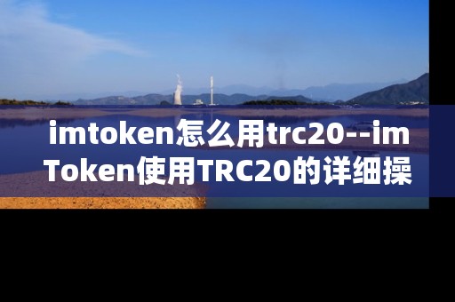imtoken怎么用trc20--imToken使用TRC20的详细操作指南