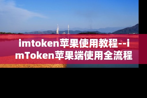 imtoken苹果使用教程--imToken苹果端使用全流程指南
