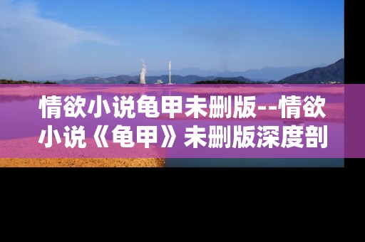 情欲小说龟甲未删版--情欲小说《龟甲》未删版深度剖析