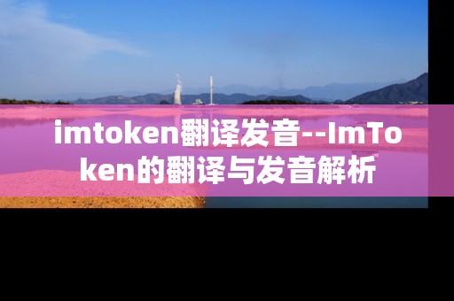 imtoken翻译发音--ImToken的翻译与发音解析