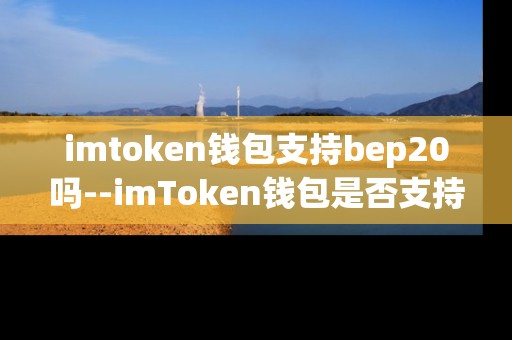imtoken钱包支持bep20吗--imToken钱包是否支持BEP20代币？