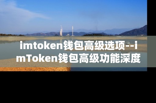 imtoken钱包高级选项--imToken钱包高级功能深度剖析