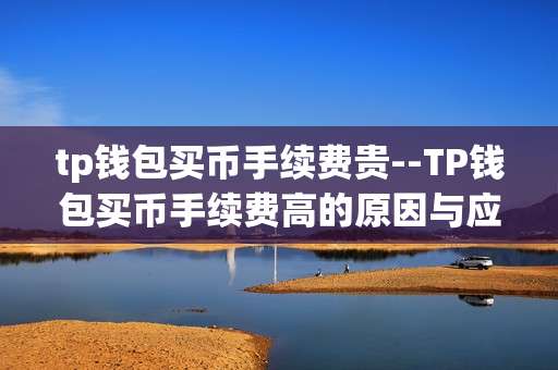 tp钱包买币手续费贵--TP钱包买币手续费高的原因与应对