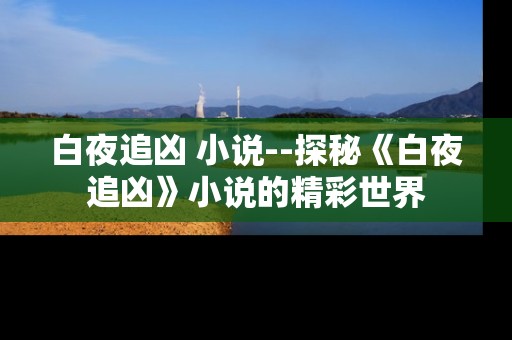 白夜追凶 小说--探秘《白夜追凶》小说的精彩世界