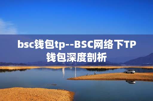 bsc钱包tp--BSC网络下TP钱包深度剖析