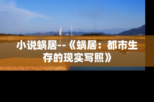 小说蜗居--《蜗居：都市生存的现实写照》