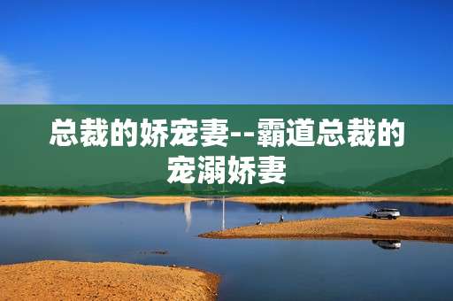 总裁的娇宠妻--霸道总裁的宠溺娇妻