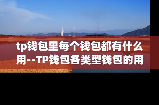 tp钱包里每个钱包都有什么用--TP钱包各类型钱包的用途详解