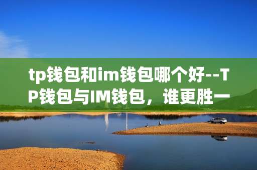 tp钱包和im钱包哪个好--TP钱包与IM钱包，谁更胜一筹？