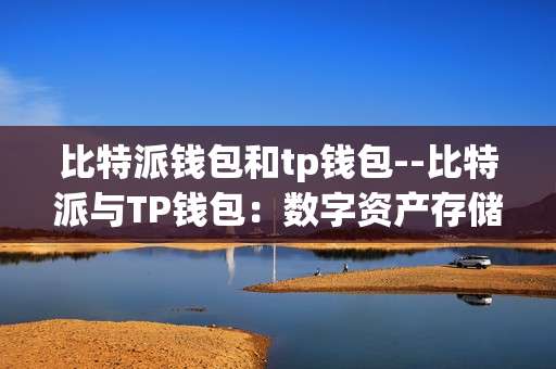 比特派钱包和tp钱包--比特派与TP钱包：数字资产存储与管理利器