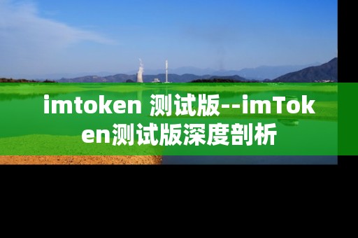 imtoken 测试版--imToken测试版深度剖析