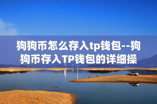 狗狗币怎么存入tp钱包--狗狗币存入TP钱包的详细操作指南
