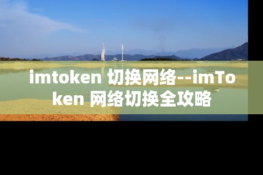 imtoken 切换网络--imToken 网络切换全攻略