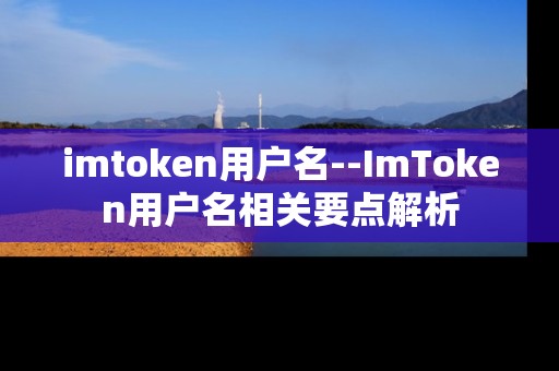 imtoken用户名--ImToken用户名相关要点解析