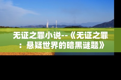 无证之罪小说--《无证之罪：悬疑世界的暗黑谜题》
