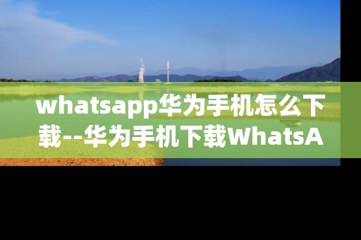 whatsapp华为手机怎么下载--华为手机下载WhatsApp的详细攻略