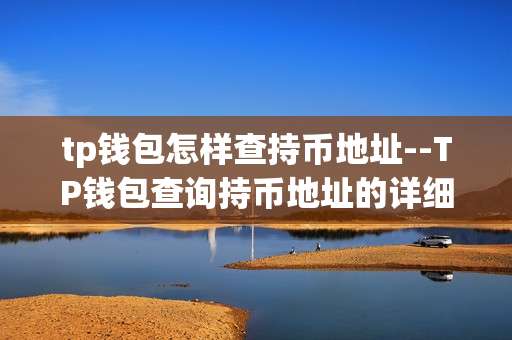 tp钱包怎样查持币地址--TP钱包查询持币地址的详细方法