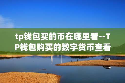 tp钱包买的币在哪里看--TP钱包购买的数字货币查看路径全解析