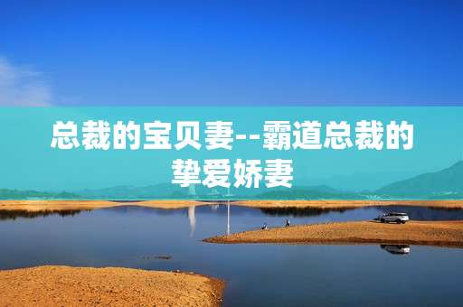 总裁的宝贝妻--霸道总裁的挚爱娇妻