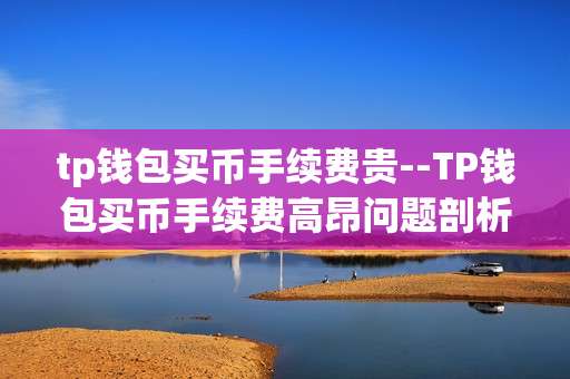 tp钱包买币手续费贵--TP钱包买币手续费高昂问题剖析