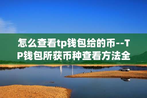 怎么查看tp钱包给的币--TP钱包所获币种查看方法全解析