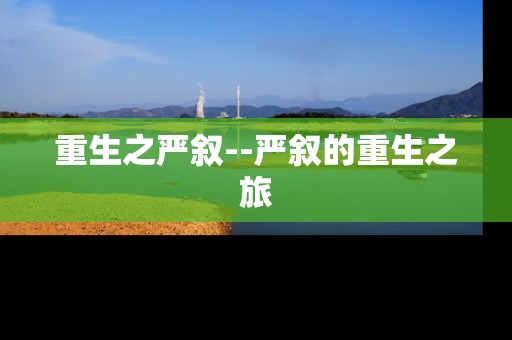 重生之严叙--严叙的重生之旅
