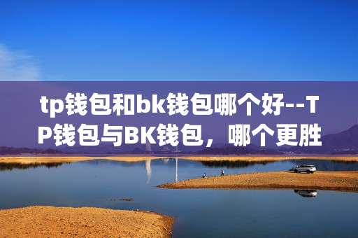 tp钱包和bk钱包哪个好--TP钱包与BK钱包，哪个更胜一筹？