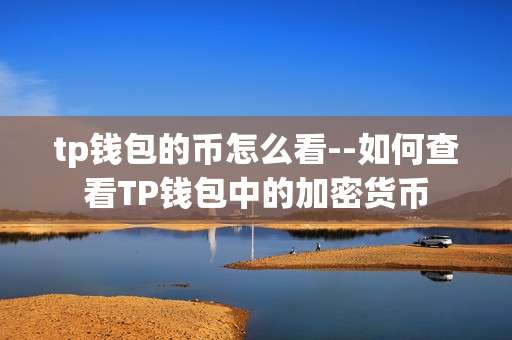 tp钱包的币怎么看--如何查看TP钱包中的加密货币