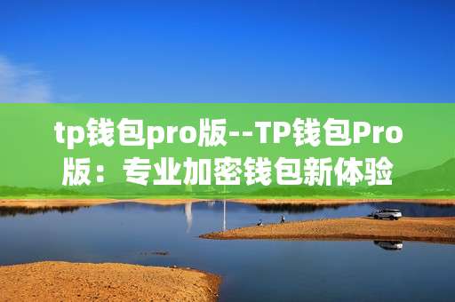 tp钱包pro版--TP钱包Pro版：专业加密钱包新体验
