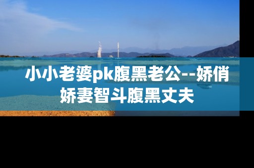 小小老婆pk腹黑老公--娇俏娇妻智斗腹黑丈夫