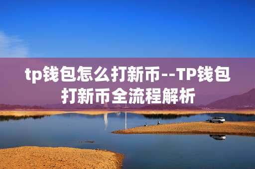 tp钱包怎么打新币--TP钱包打新币全流程解析