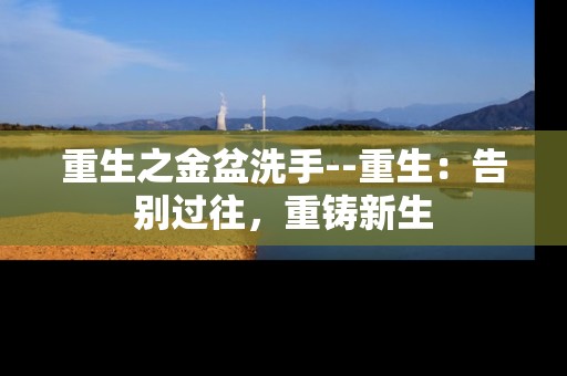 重生之金盆洗手--重生：告别过往，重铸新生