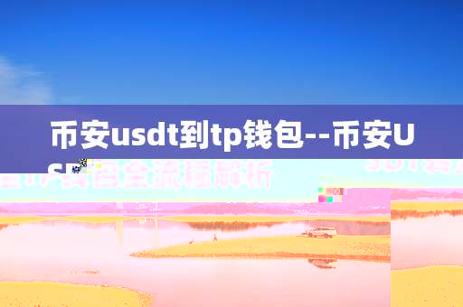 币安usdt到tp钱包--币安USDT转至TP钱包全流程解析