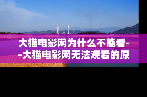 大猫电影网为什么不能看--大猫电影网无法观看的原因剖析