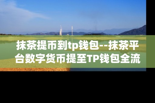 抹茶提币到tp钱包--抹茶平台数字货币提至TP钱包全流程解析
